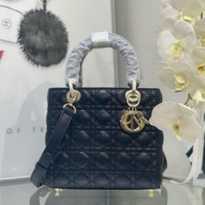 Master Copy Dior Bag